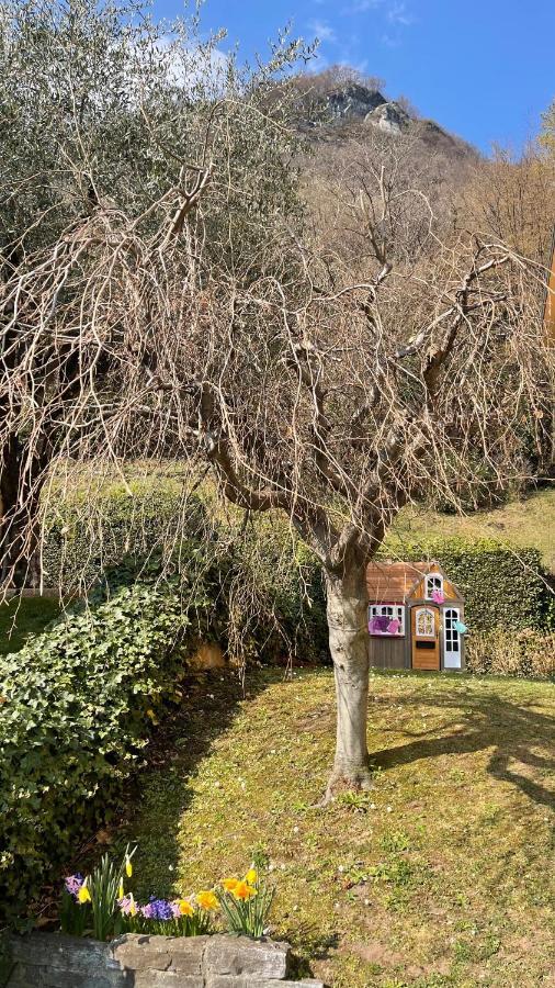 Appartamento Few Steps To The Heart Of Menaggio, Swimming Pool, Breathtaking View Esterno foto